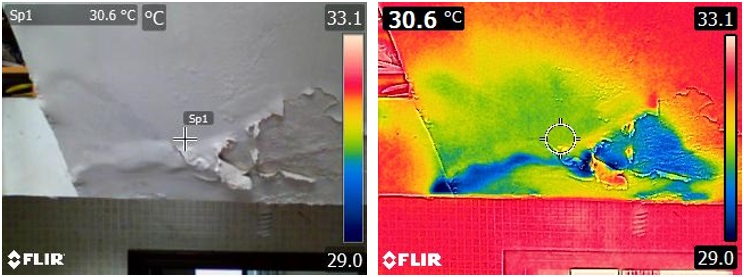牆身滲漏的實際情況及其相應的紅外線相片