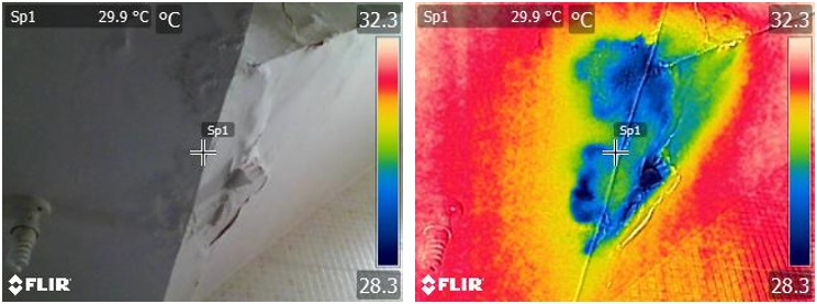 牆身滲漏的實際情況及其相應的紅外線相片