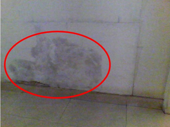 天頌苑一個單位內的牆身近地台位置有一大片水漬