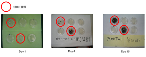 對照測試結果顯示，6個測試格中，有CT觸媒的4個格子，第15天都無出現發霉情況；另外2個無CT觸媒的格子，第4天開始出現發霉情況，而第15天發霉情況變得更嚴重。