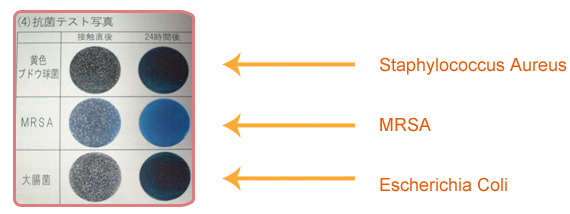 A 24-hour sample test results show that CT Catalyst can control the growth of Escherichia coli, Staphylococcus Aureus, and MRSA within one day.