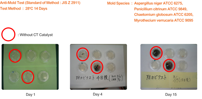 A control test result shows that, among the 6 test grids, 4 grids with CT Catalyst have no molds on the 15th day, while the other 2 grids without CT Catalyst have molds on the 4th day, and the mold becomes more severe on the 15th day.